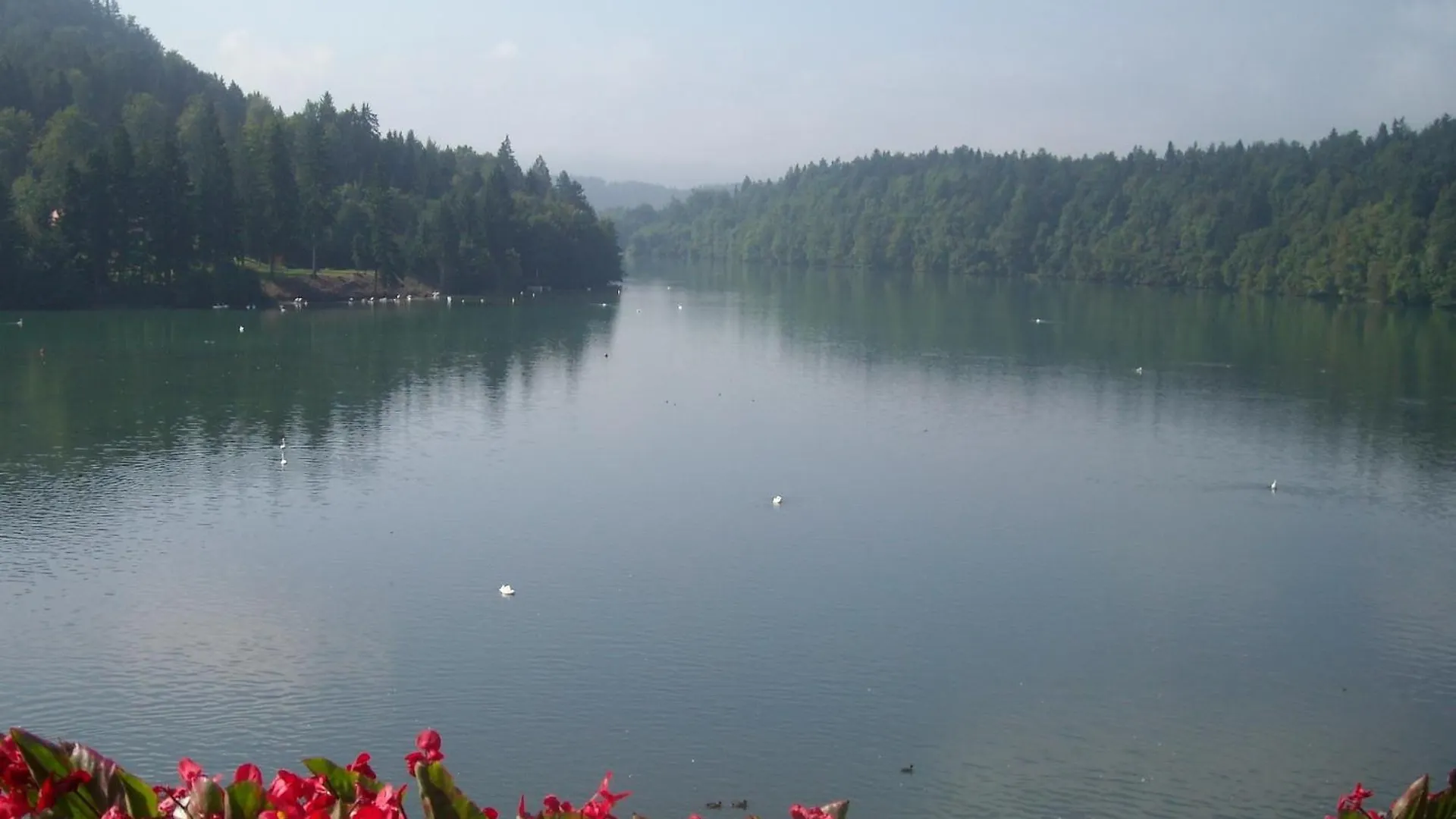 Alojamento de Acomodação e Pequeno-almoço Gostisce Jezero Acomodação com café da manhã Medvode